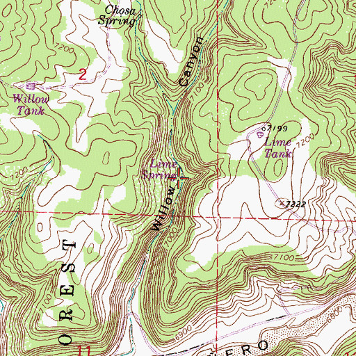 Topographic Map of Lime Spring, NM