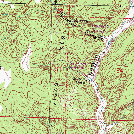 Topographic Map of Scissors Spring, NM