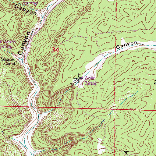 Topographic Map of Lost Tank, NM