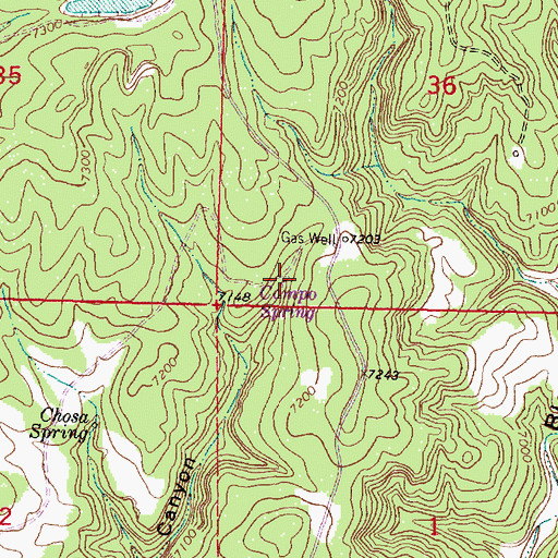 Topographic Map of Campo Spring, NM