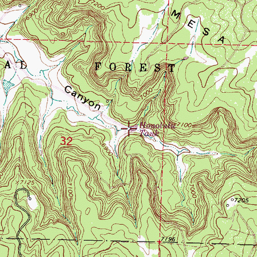 Topographic Map of Honolulu Tank, NM