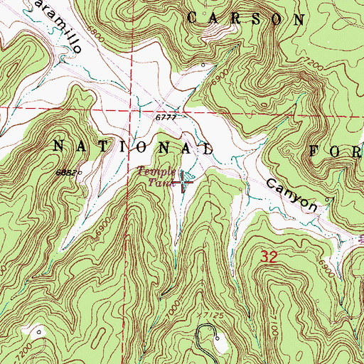 Topographic Map of Temple Tank, NM