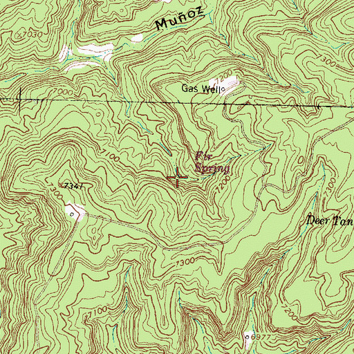 Topographic Map of Fir Spring, NM