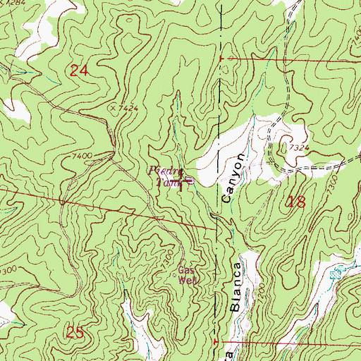 Topographic Map of Piedra Tank, NM