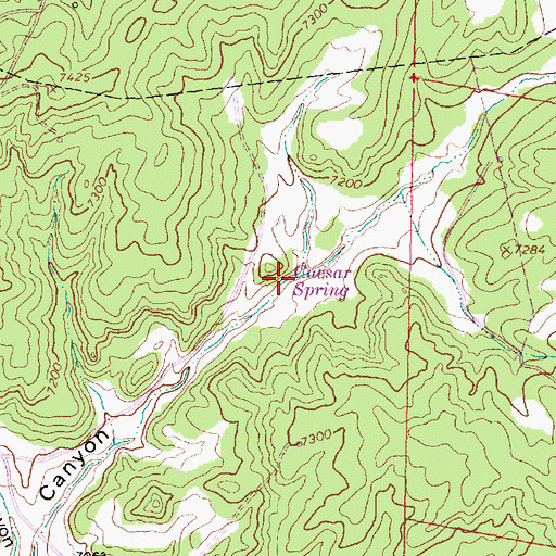 Topographic Map of Caesar Spring, NM
