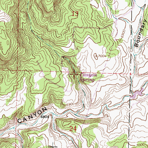 Topographic Map of Canyon Spring, NM