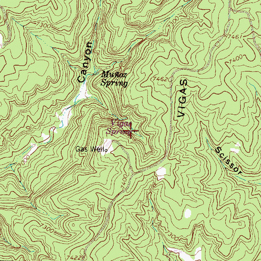 Topographic Map of Vigas Spring, NM