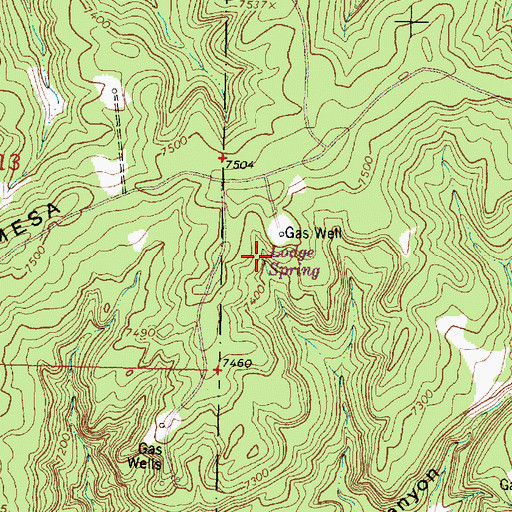 Topographic Map of Lodge Spring, NM
