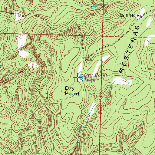 Topographic Map of Dry Point Tank, NM