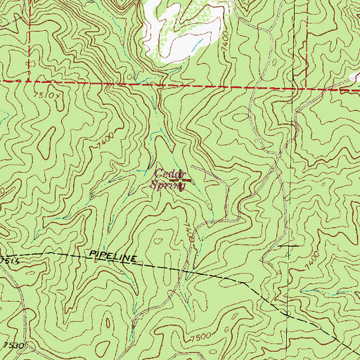 Topographic Map of Cedar Spring, NM