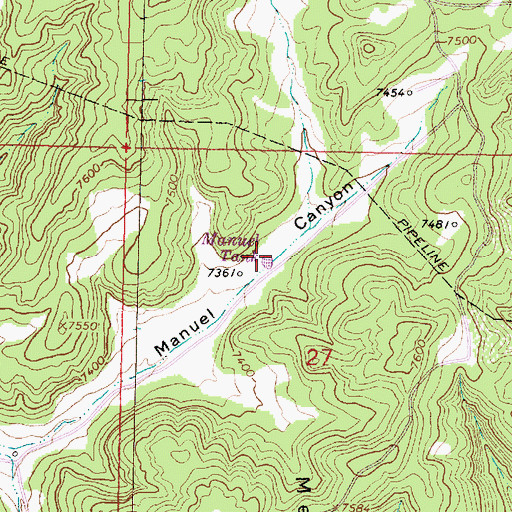 Topographic Map of Manuel Tank, NM