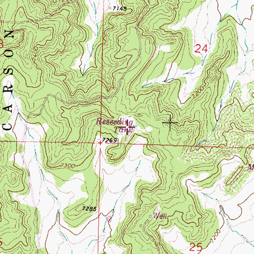 Topographic Map of Reseeding Tank, NM