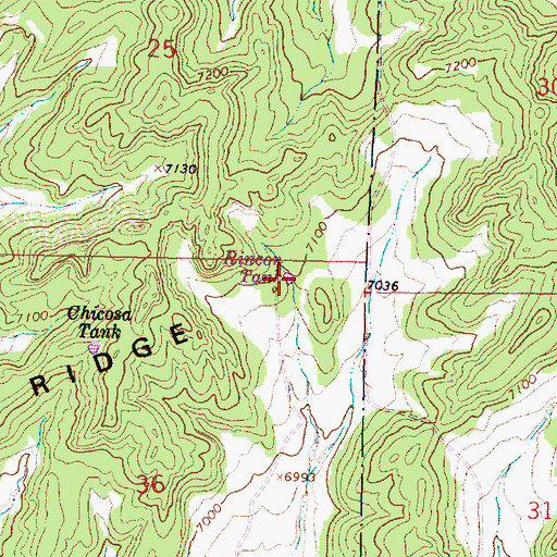 Topographic Map of Rincon Tank, NM