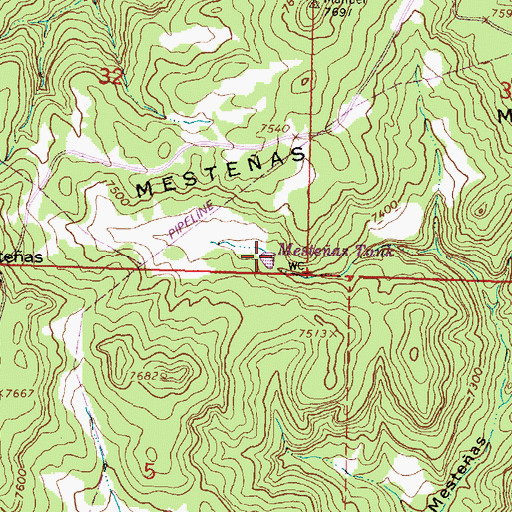 Topographic Map of Mesteas Tank, NM