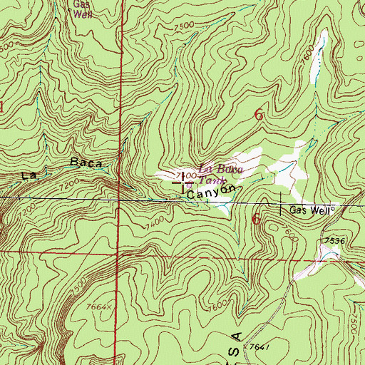 Topographic Map of La Baca Tank, NM