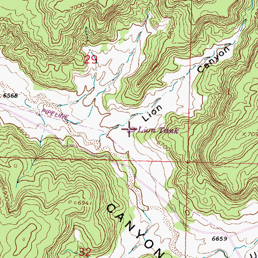 Topographic Map of Lion Tank, NM