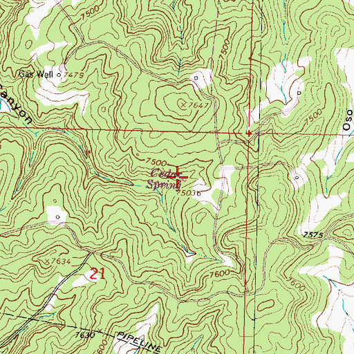 Topographic Map of Cedar Spring, NM