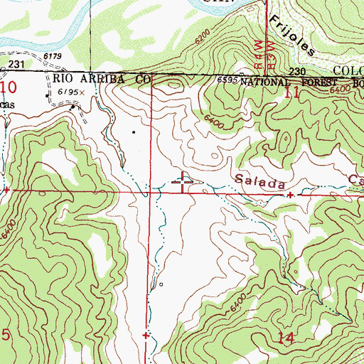Topographic Map of Salada Canyon, NM
