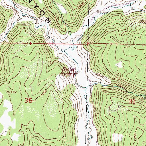 Topographic Map of Boiler Spring, NM