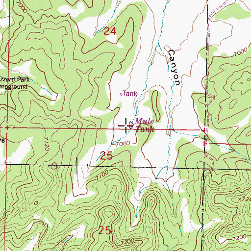 Topographic Map of Mule Tank, NM