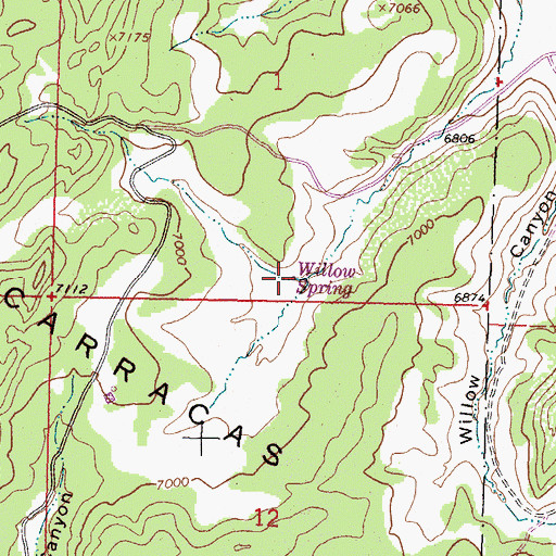 Topographic Map of Willow Spring, NM