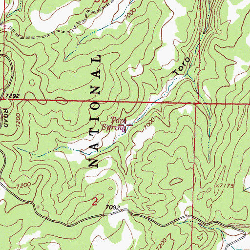Topographic Map of Toro Spring, NM