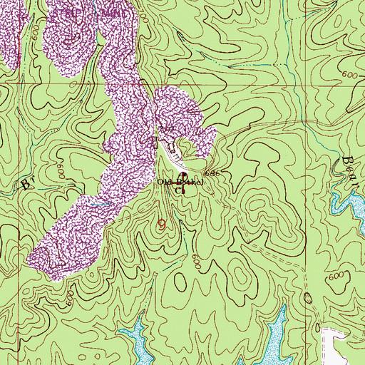 Topographic Map of Bethel School (historical), AL