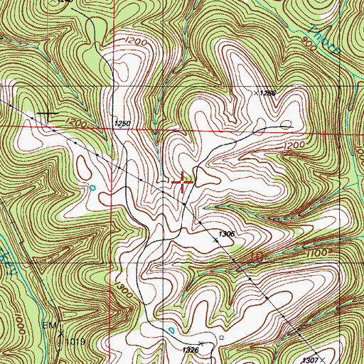 Topographic Map of Branson Airport, MO