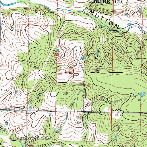 Topographic Map of Eads Ridge Airport, MO