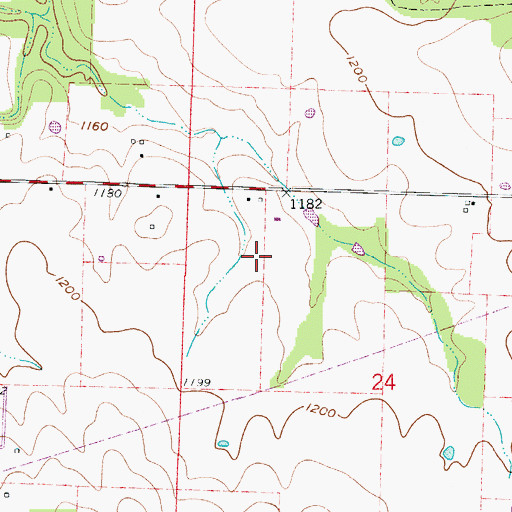 Topographic Map of Bird Field, MO