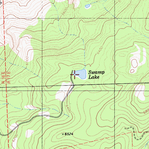 Topographic Map of Swamp Lake, CA