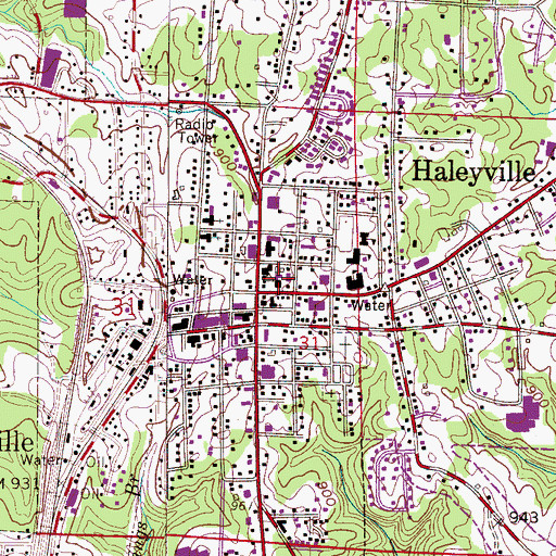 Topographic Map of Haleyville Central Grammar School (historical), AL