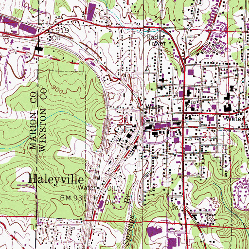 Topographic Map of Haleyville Colored School (historical), AL