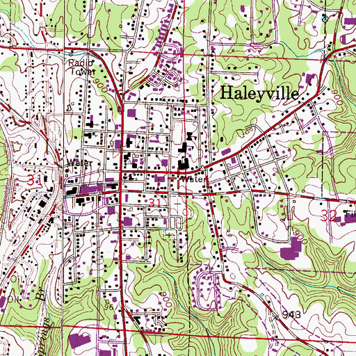 Topographic Map of Haleyville School (historical), AL