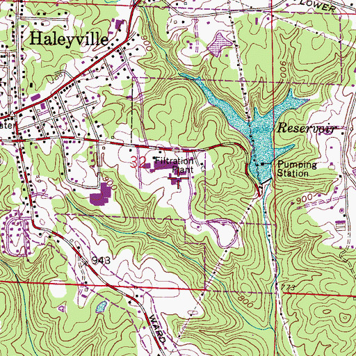 Topographic Map of Haleyville Technical Center, AL