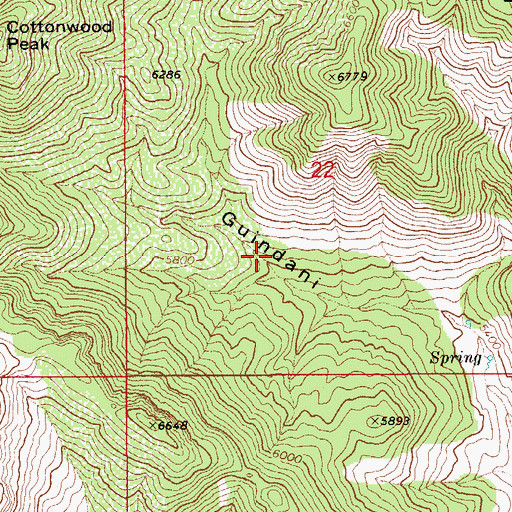 Topographic Map of White Wing Spring, AZ