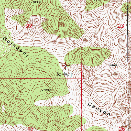 Topographic Map of Basin Spring, AZ