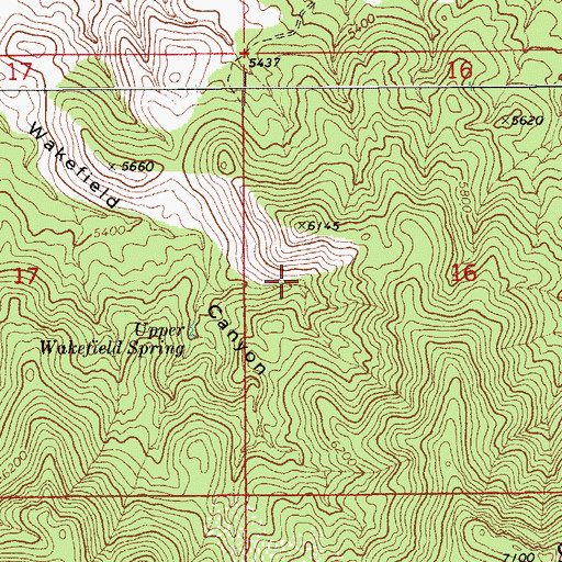 Topographic Map of Wakefield Northeast Tank, AZ