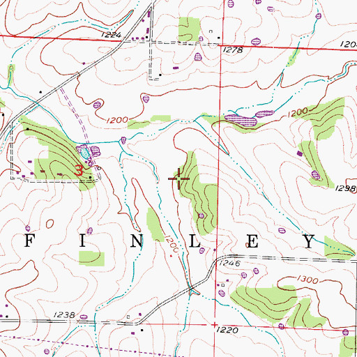 Topographic Map of Selmore Natural Arch, MO