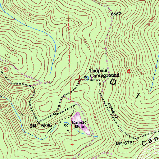 Topographic Map of Tadpole Campground, CA