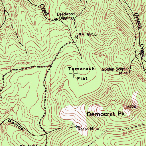 Topographic Map of Tamarack Flat, CA
