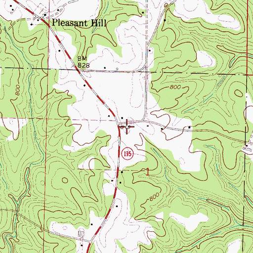 Topographic Map of Blue Springs, AL