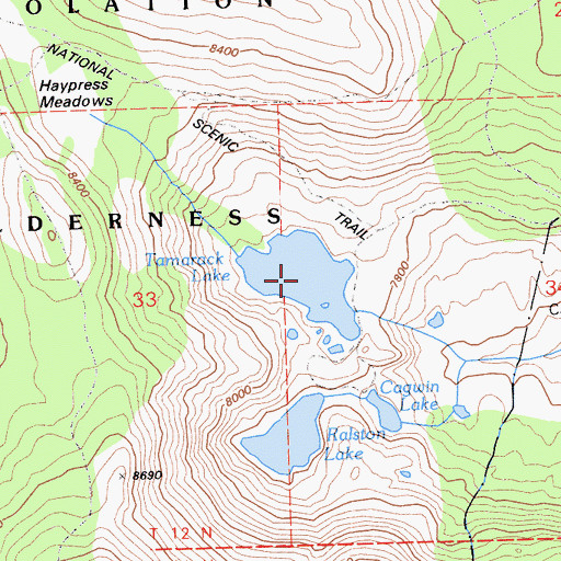 Topographic Map of Tamarack Lake, CA