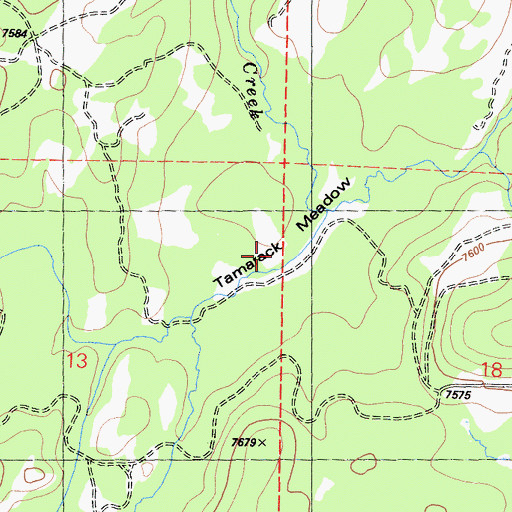 Topographic Map of Tamarack Meadow, CA