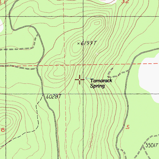 Topographic Map of Tamarack Spring, CA