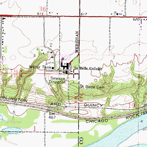 Topographic Map of Abbey Orchard, IL