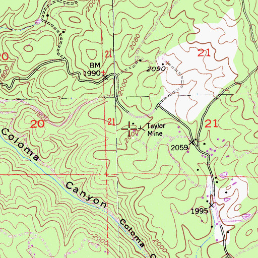 Topographic Map of Taylor Mine, CA