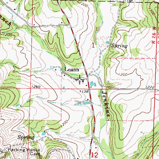 Topographic Map of Leann Cemetery, MO