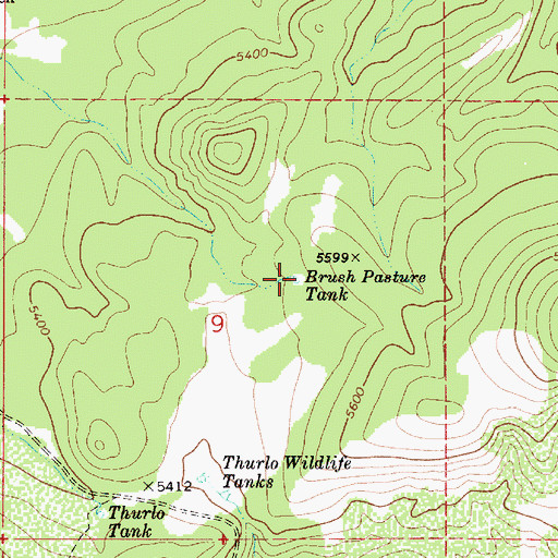 Topographic Map of Brush Pasture Tank, AZ