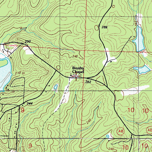 Topographic Map of Brushy Cemetery, MO